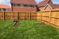 Wooden Fencing